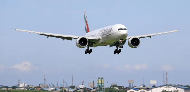 Close Call for Emirates as Plane Strikes Flock of Flamingos